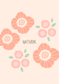 Flowers Autumn Clear16 from Japan