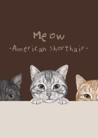 Meow-American Shorthair-DARK BROWN[rev.]