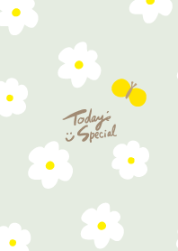 many white flowers butterflies16 Japan