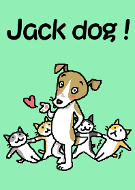 Jack dog!