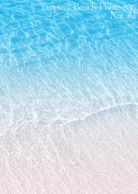 Tropical Beach Photo 336 Not AI