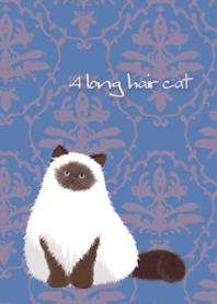 A Long hair cat