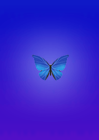 美しいクリスタル蝶ブルー