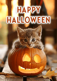 開運♡大人可愛いハロウィン猫