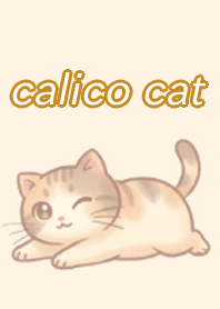 The Daily Life of Calico Cat Hua Hua 2