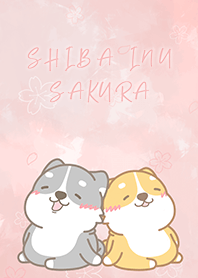 Shiba inu 17 - Sakura