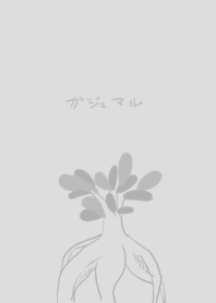 ガジュマルの木