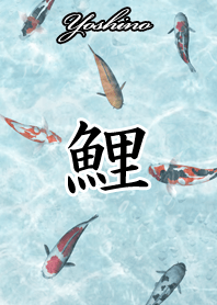 Yoshino Japanese style carp