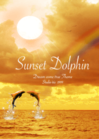 Sunset dolphin