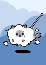 cotton candy cat Theme