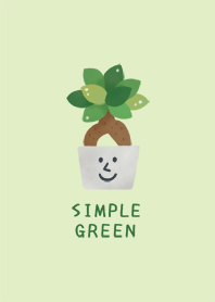 SIMPLE GREEN-Foliage plant