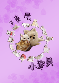 客製化主題-陳晨小寶貝