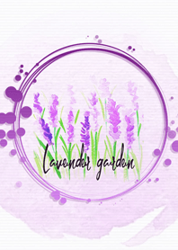 Lavender garden