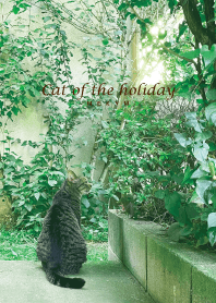 Cat of the holiday-GREEN 15
