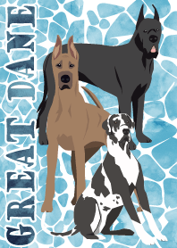 GREAT DANE Water surface