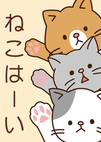 ねこはーい