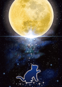''Bring good luck'' Full moon cat*