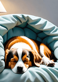 Bright Moon and Dawn 701Ce3