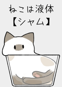 The cat is liquid [siamese]JP