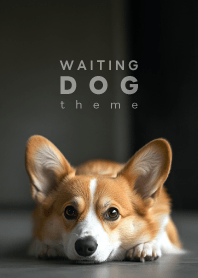 WAITING DOG - Welsh Corgi 01/RW -