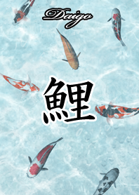 だいご用和風鯉