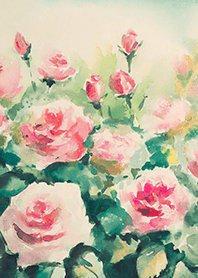 Beautiful rose flower(R4022)