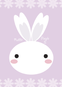 Rabbit Purple 2