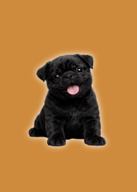 Black Pug Plush Theme Brown 04