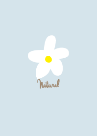 白い花　ナチュラル2