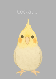 Cute Cockatiel on white