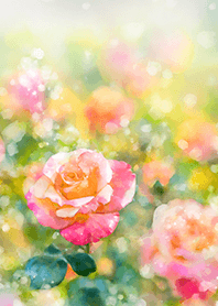 Beautiful rose flower(R1570)