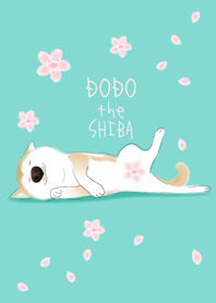 柴犬ドォドォ桜バージョン