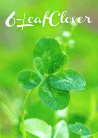6-LeafClover