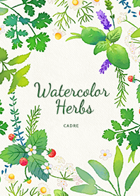 Watercolor Herbs (Reissue)