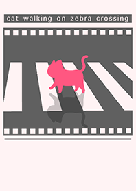 cat zebra crossing J-Gray (Pi3)