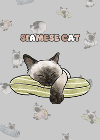 siamesecats4 / grey