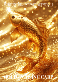 Golden Rising Carp Lucky 61