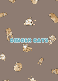 gingercats3 - brown