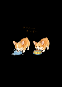 我養的可愛柯基犬(純黑色)