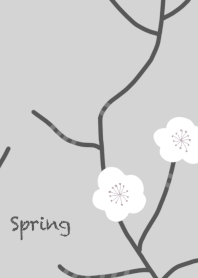 Spring Flower pattern