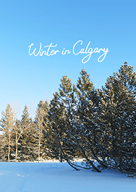 Winter in Calgary (19)