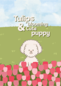 Tulips blooming and cute puppy