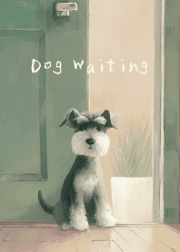 Dog Waiting - schnauzer - evening