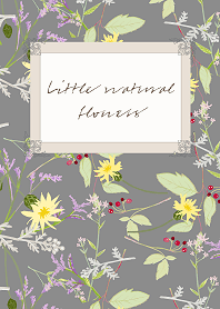 Little natural flowers 08 ＠SUMMER
