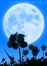 Real Moon&7Leaf Clover #3-25Not AI