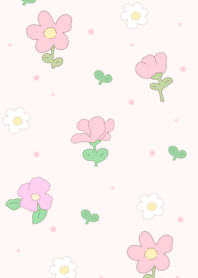 Multi-colored hibiscus flowers