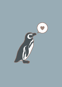 マゼランペンギン - ダスティブルー -