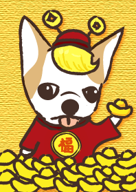 Little Flower God of Wealth (Chihuahua)