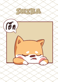 โอ็ค ใครไม่บะ ชิบะ 4 V12