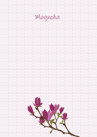 July's birth flower,Magnolia